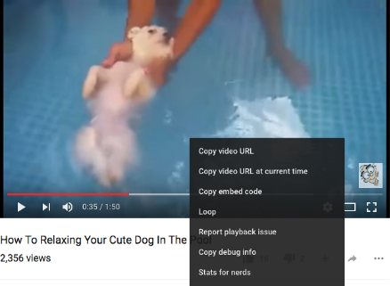 YouTube-Secrets-Tips-Tricks