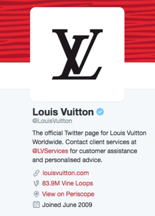 Biographie Twitter