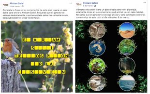 El concurso de Africam Safari en las redes sociales