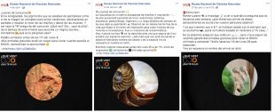 Concurso de Museo nacional de ciencias naturales de Madrid