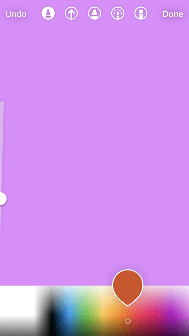 purple backdrop