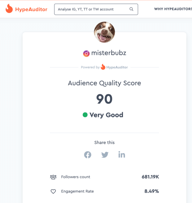Página de puntaje de calidad de audiencia de Hype Auditor 