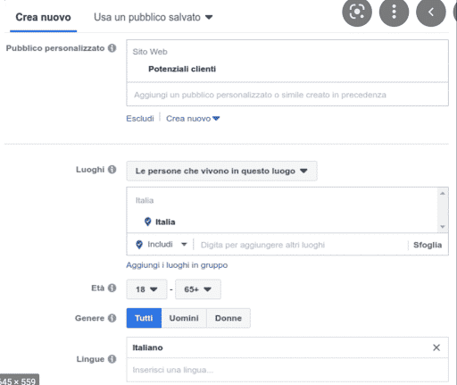 Esempio di come creare un pubblico personalizzato