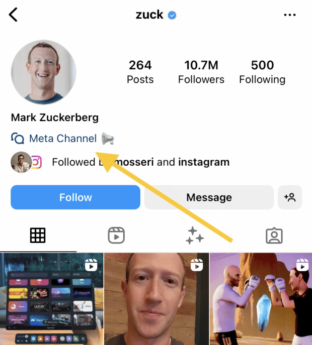 Meta CEO Mark Zuckerberg's Instagram account with the Meta Channel broadcast link in bio