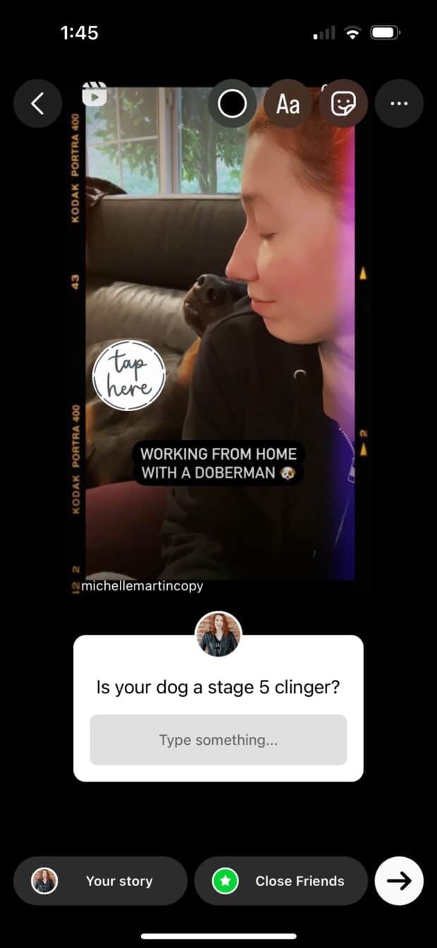 text, GIFs, Instagram stickers to story about doberman pinscher
