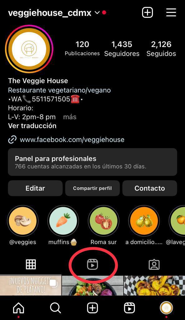 Pestaña de Reels en la cuenta de Instagram