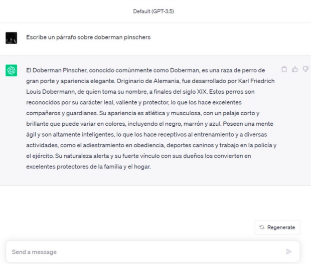 Ejemplo de texto de ChatGPT