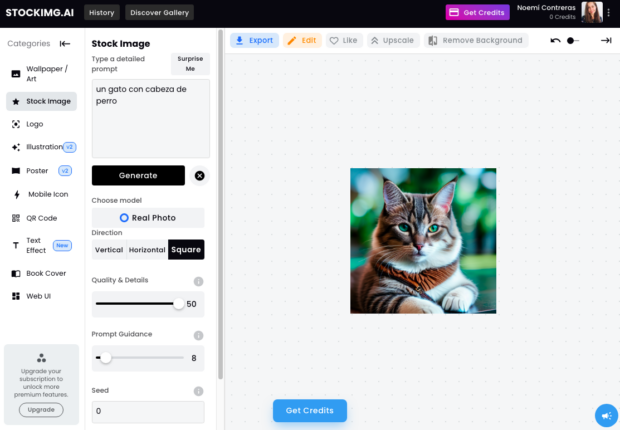 Imagen de stock de gatos de Stockimg.ai