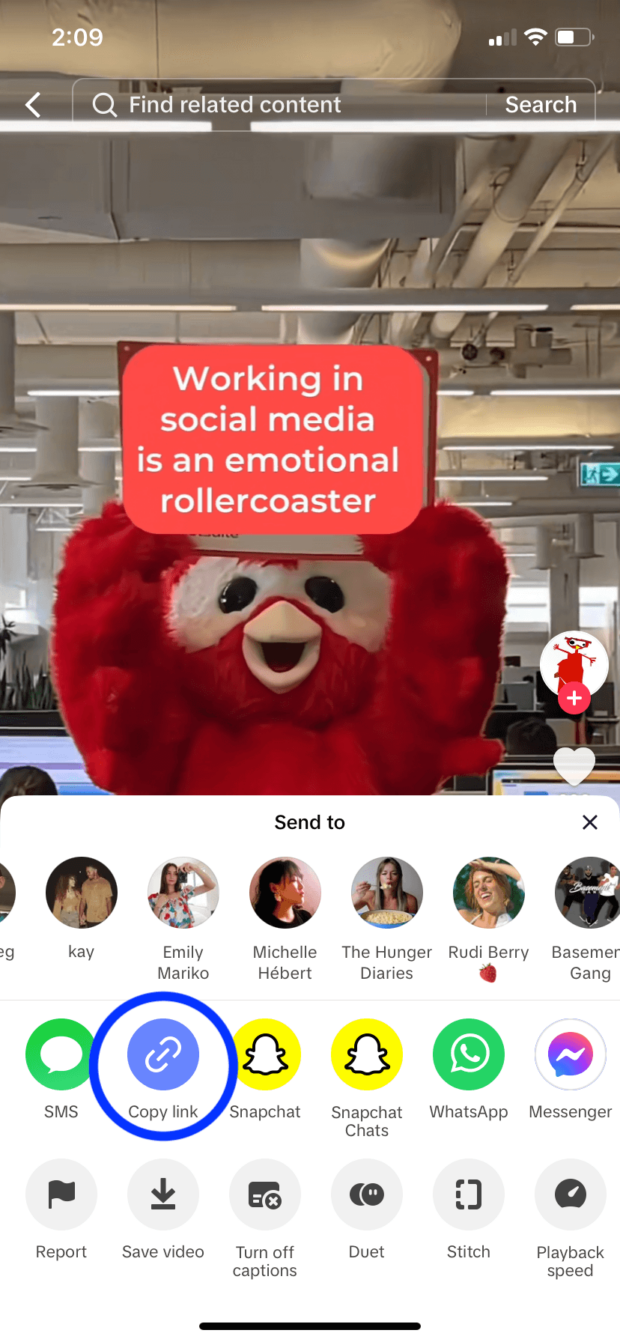 option to copy link on TikTok