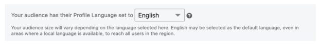language targeting audience profile set to English