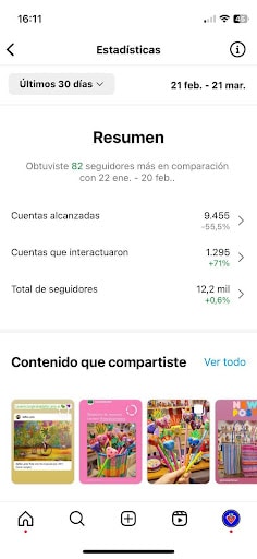 Sección Estadísticas dentro de la aplicación de Instagram