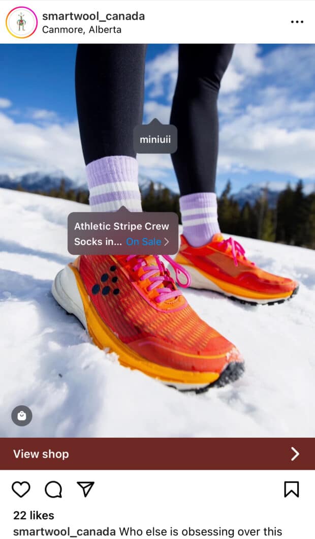 Smart wool Canada athletic stripe crew socks
