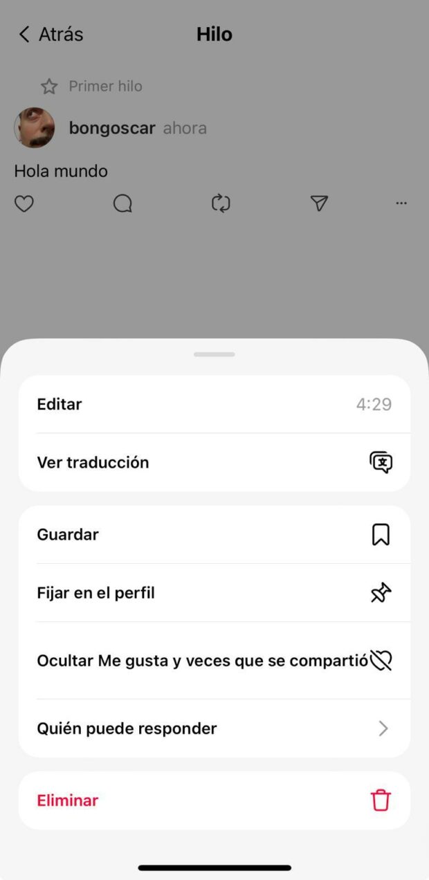 Opción de eliminar la publicación de un tema