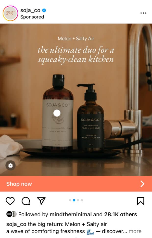 Soja Co hand wash and dish soap product display in kitchen