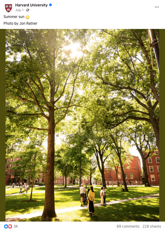 Harvard University descriptive alt text for summer sun campus image