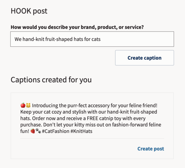 Hand knit fruit shaped hats for cats HOOK post example with caption generated