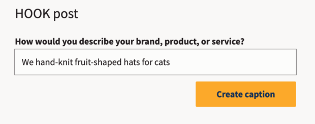 HOOK post describe your brand product or service to create caption