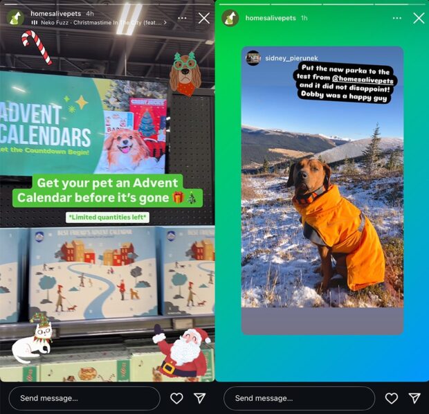 Pet advent calendar