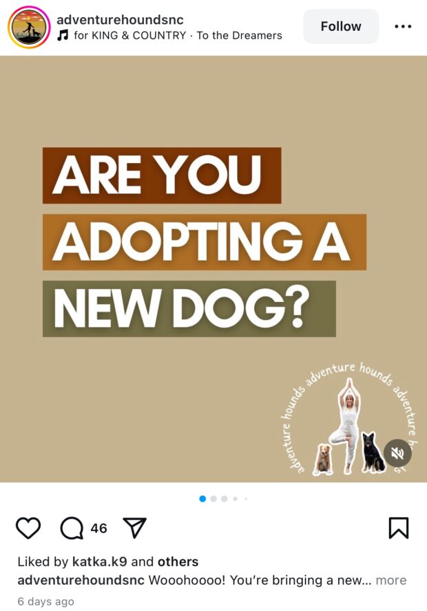 are you adopting a new dog post with music added to carousel